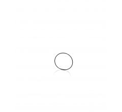 O-Ring (schwarz) für Atemmasken-Adapter